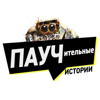 Логотип @paustories - Паучительные истории