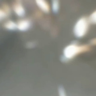 Логотип @pavloderzkie - NEWS 📰 PVL