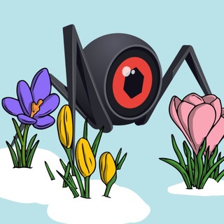 Логотип @pavutynaua - Мережа «ПАВУТИНА»