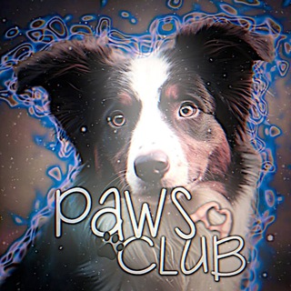 Логотип @pawsdogschannel - 🐾ᴘᴀᴡs ᴅᴏɢs🐾