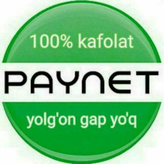 Логотип @paynetbotbot - P A Y N E T 100% aldovsiz👍