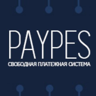 Логотип @paypes_com - PayPes.com