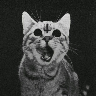 Логотип @pazitivnuy - Позитивные🤙🤟