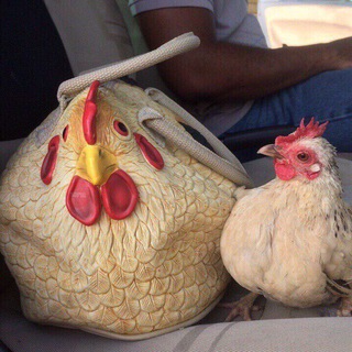 Логотип @pchela_and_others - «Пчела» и прочие российские медиа