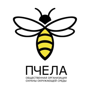 Логотип @pchela_ru - ПЧЕЛА