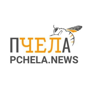 Логотип @pchelanews - Пчеланьюс