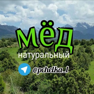 Логотип @pchelka_l - " МЁД от Пчёлки "