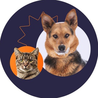 Логотип @pechatniki_pets - Приют в Печатниках | Москва