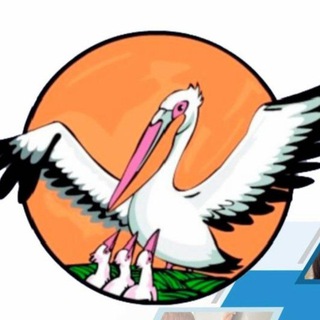 Логотип @pedagog_goda_2022 - Педагог года Калмыкии-2022
