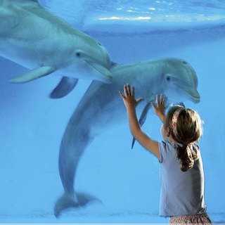 Логотип @pediatriauzi - Pediatric Еxpert Sonography