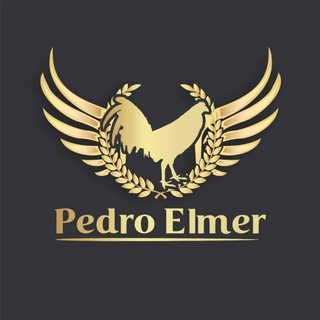Логотип @pedroelmerperu - CRIADERO PEDRO ELMER 🇵🇪⚡