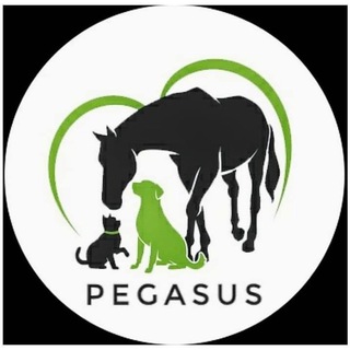 Логотип @pegasyss - Приют Пегас для лошадей и диких животных Днепр