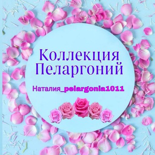 Логотип @pelargonia10 - Коллекция Пеларгоний Наталии