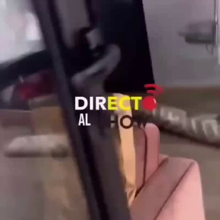 Логотип @peleademujeres - Mas pelea de mujeres