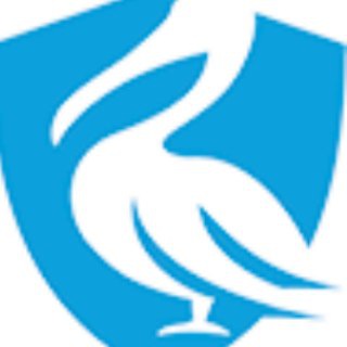 Логотип @pelican_hosting - Pelican Hosting