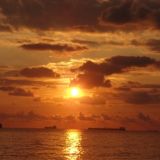 Логотип @pelisada - кошечка ^-^