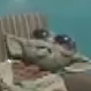 Логотип @penes - El canal asqueroso