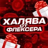 Логотип @penguin_promokods - ФЛЕКСЕР | Dragon Money & ZOOMA