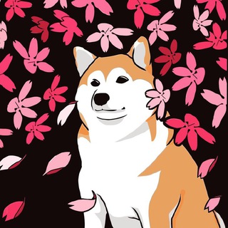 Логотип @pensive_inu - задумчивый ину