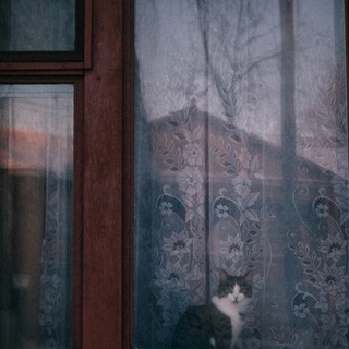 Логотип @peoplelivehere - здесь живут люди