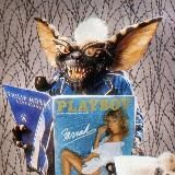 Логотип @pepsi_img - Pepsi’s girls🇺🇦