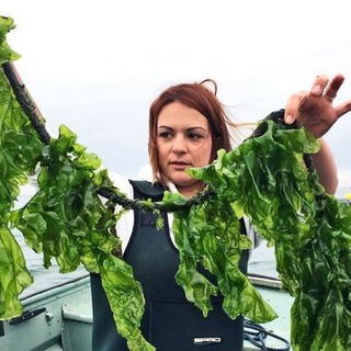 Логотип @perehodinazoj - Водоросли🌱 Твой шаг к здоровью