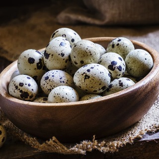 Логотип @perepelinoe_yajco - Перепелиное-яйцо.рф