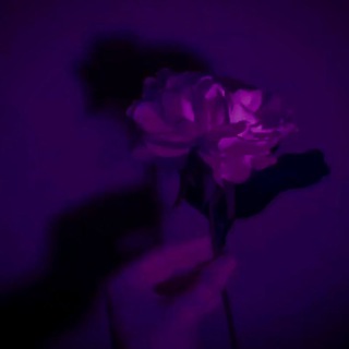 Логотип @perepiskachatpisya - Переписка