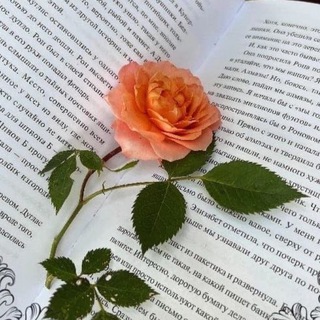 Логотип @pereylok24 - Книжный переулок 24/7