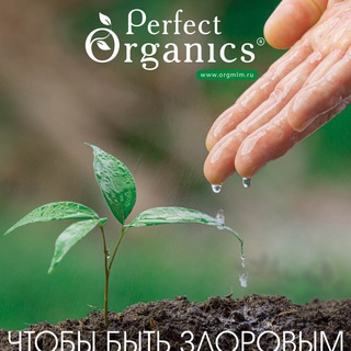 Логотип @perfect_organics_life - Perfect Organics life