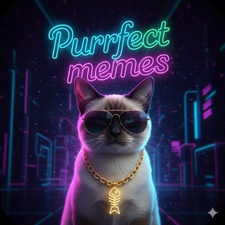 Логотип @perfectpicture - Purrfect Memes
