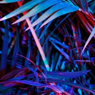 Логотип @perfism - аутизм и перфекционизм