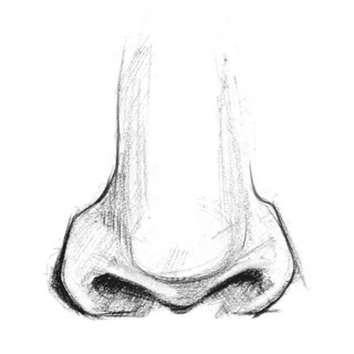 Логотип @perfume_project_chat - Perfume Project Chat