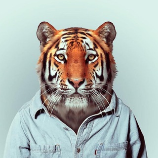 Логотип @periskop_pacific - Блокнот ⚒️ Перископа