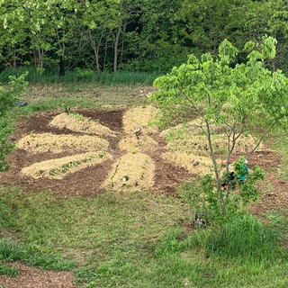 Логотип @permacultriceanima - LISA PERMACULTURA👩‍🌾