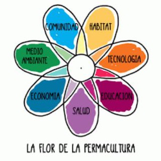 Логотип @permaculturabrasil - Permacultura Brasileira