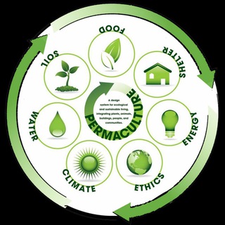 Логотип @permaculture_video - Всё о пермакультуре