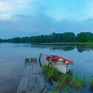 Логотип @permaculture_village - ДЕРЕВНЯ