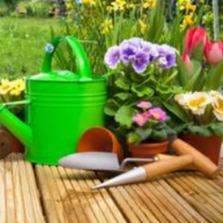 Логотип @permakulturgarten - PermaKulturGarten