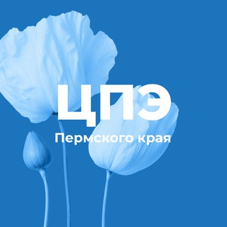 Логотип @permexport - Клуб экспортёров Пермского края