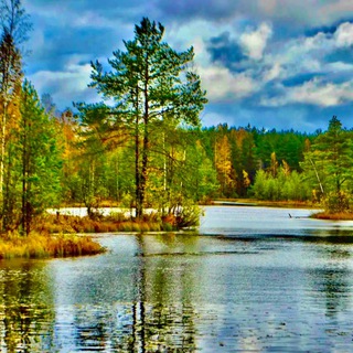 Логотип @permozero - Пермское озеро