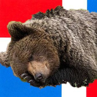 Логотип @permskaya_bear - Пермская медведица