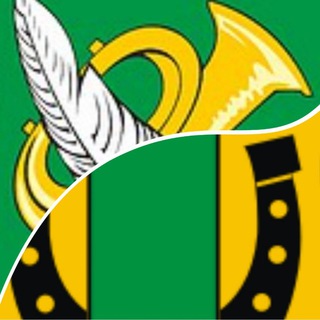 Логотип @perovonovog - Перово Новогиреево