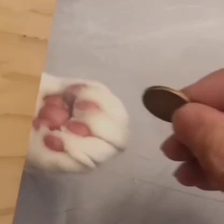 Логотип @persilioo - персилио