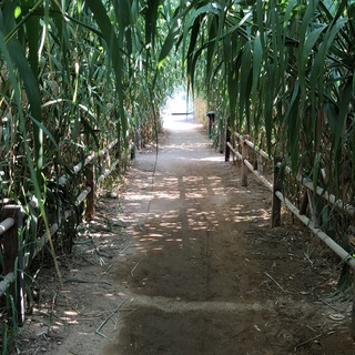 Логотип @person_wird_mensch - PERSON wird :mensch