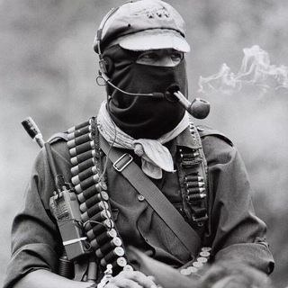 Логотип @pes_prizrak - Пес-призрак