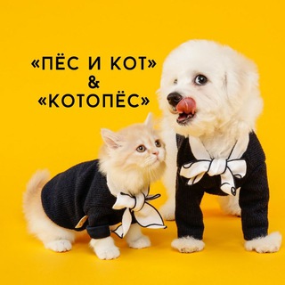 Логотип @pesikotkotopes - «Пёс и Кот» & «Котопёс»