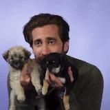 Логотип @pesyajopa - пёсья ж*па