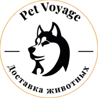 Логотип @pet_ship - ПЕРЕВОЗКА ЖИВОТНЫХ🦮