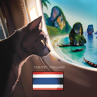 Логотип @pet_thailand - Таиланд с питомцем 🇹🇭🐶